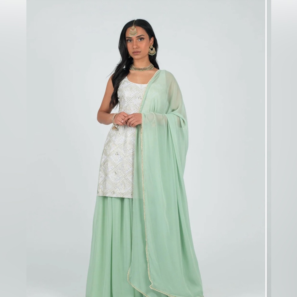 The Saree Room | Mint Hira Suit + Mint Georgette Dupatta